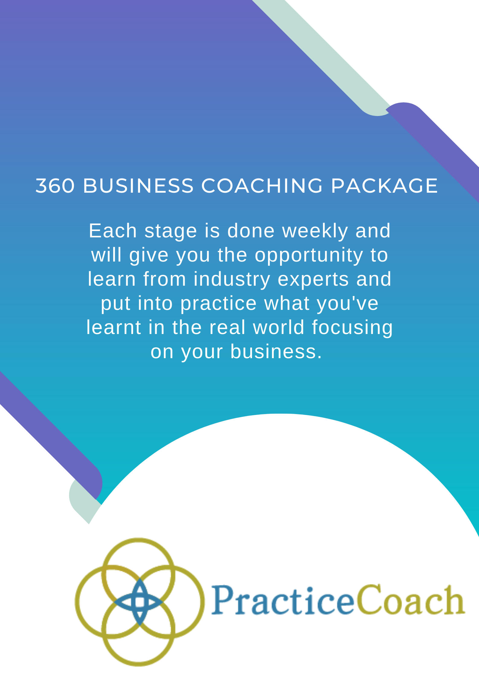 360 Business Coaching Package - Practice Coach Clinic